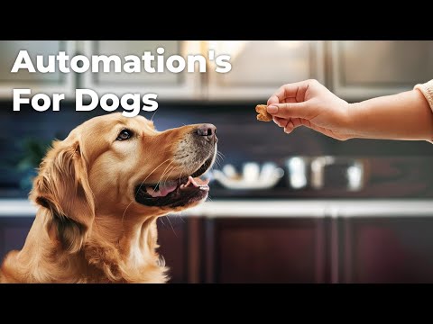 Smart Home Tech with Home Assistant… FOR PETS?