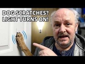 Video thumbnail for Home Assistant Solves My Biggest Pet Problem